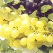 akciós szalvéta gyümölcsök sorozat szőlőszemek