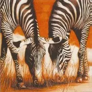 szalvéta afrikai sorozat, zebrák