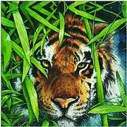  szalvéta állatmintás sorozat tigris
