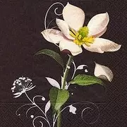 szalvéta virágos szalvéták fehér virág